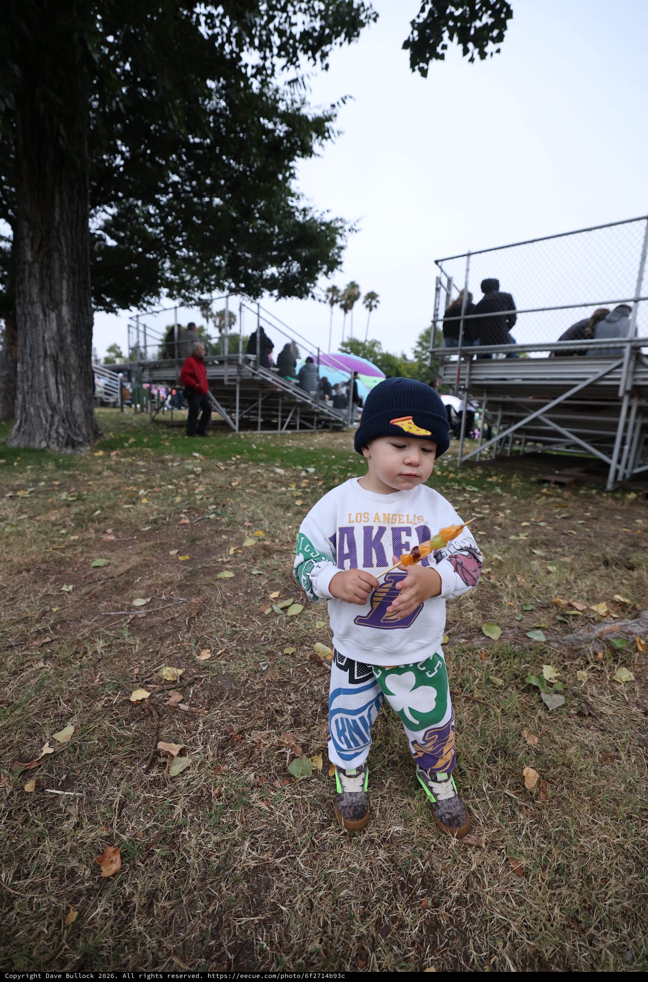 Young Lakers Fan at Hot Air Balloon Festival