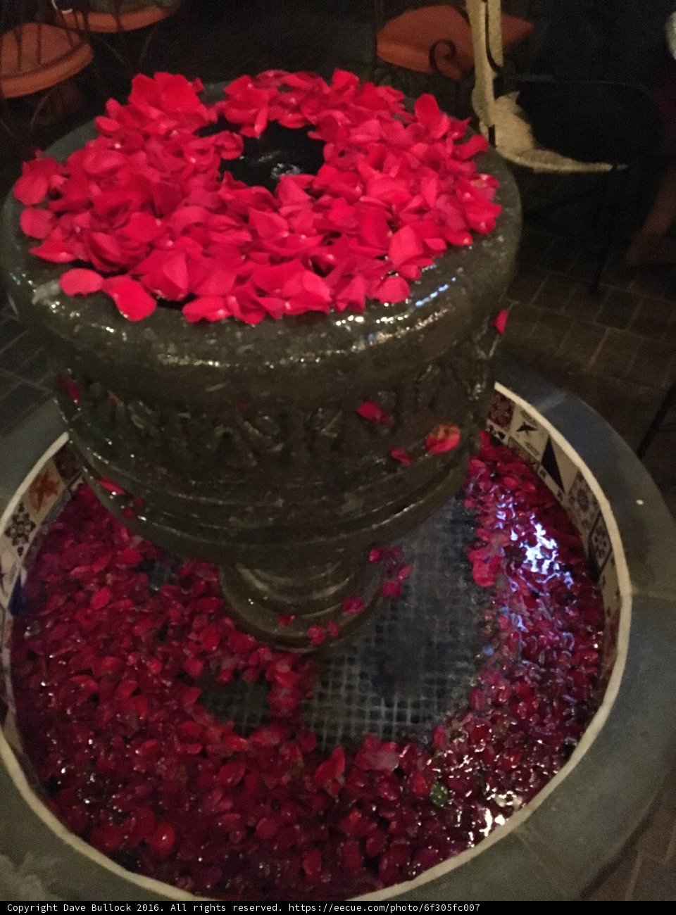 Floral Fountain