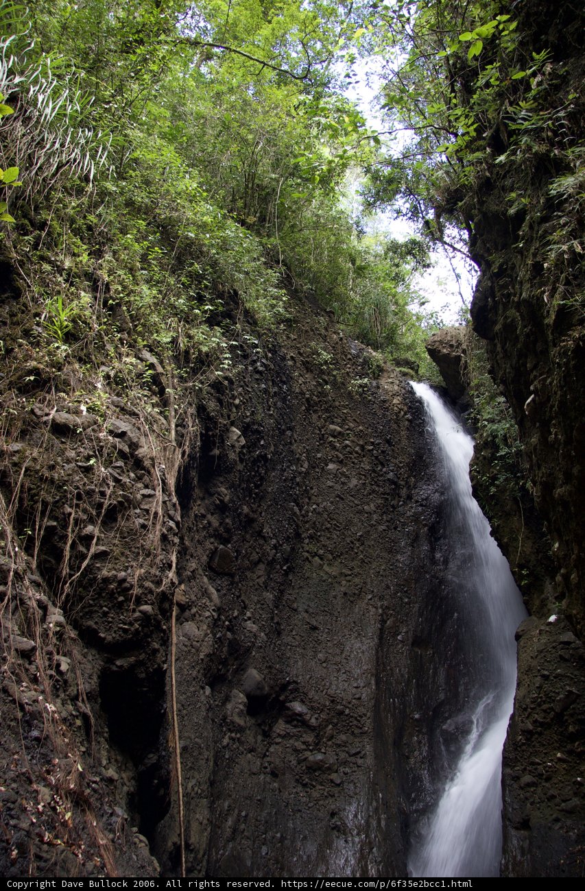Serene Waterfall in the Woods