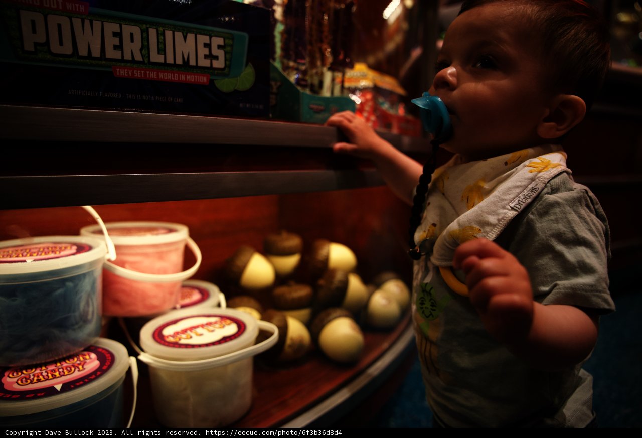 Magical Moments at Disneyland