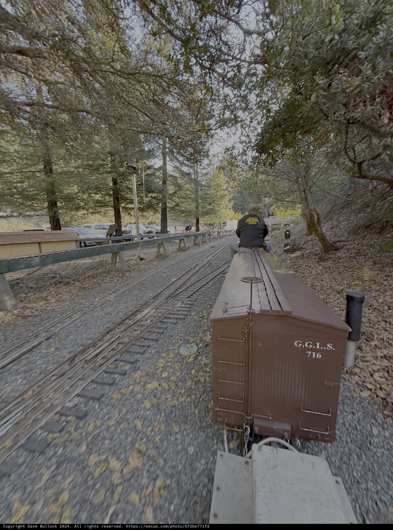 Vintage Train Journey Through Forest Canyon