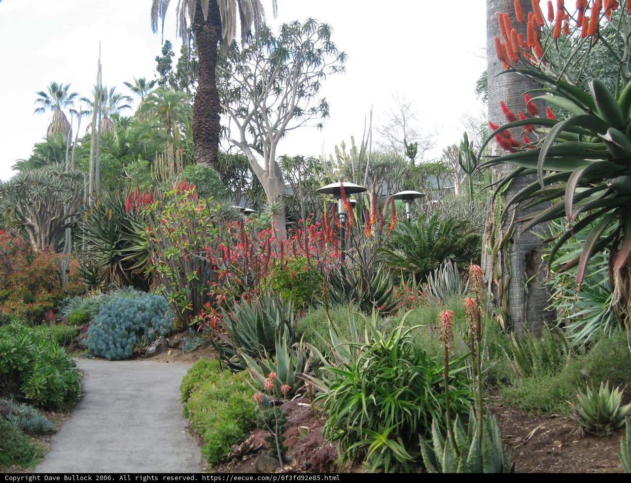 Journey through the Garden