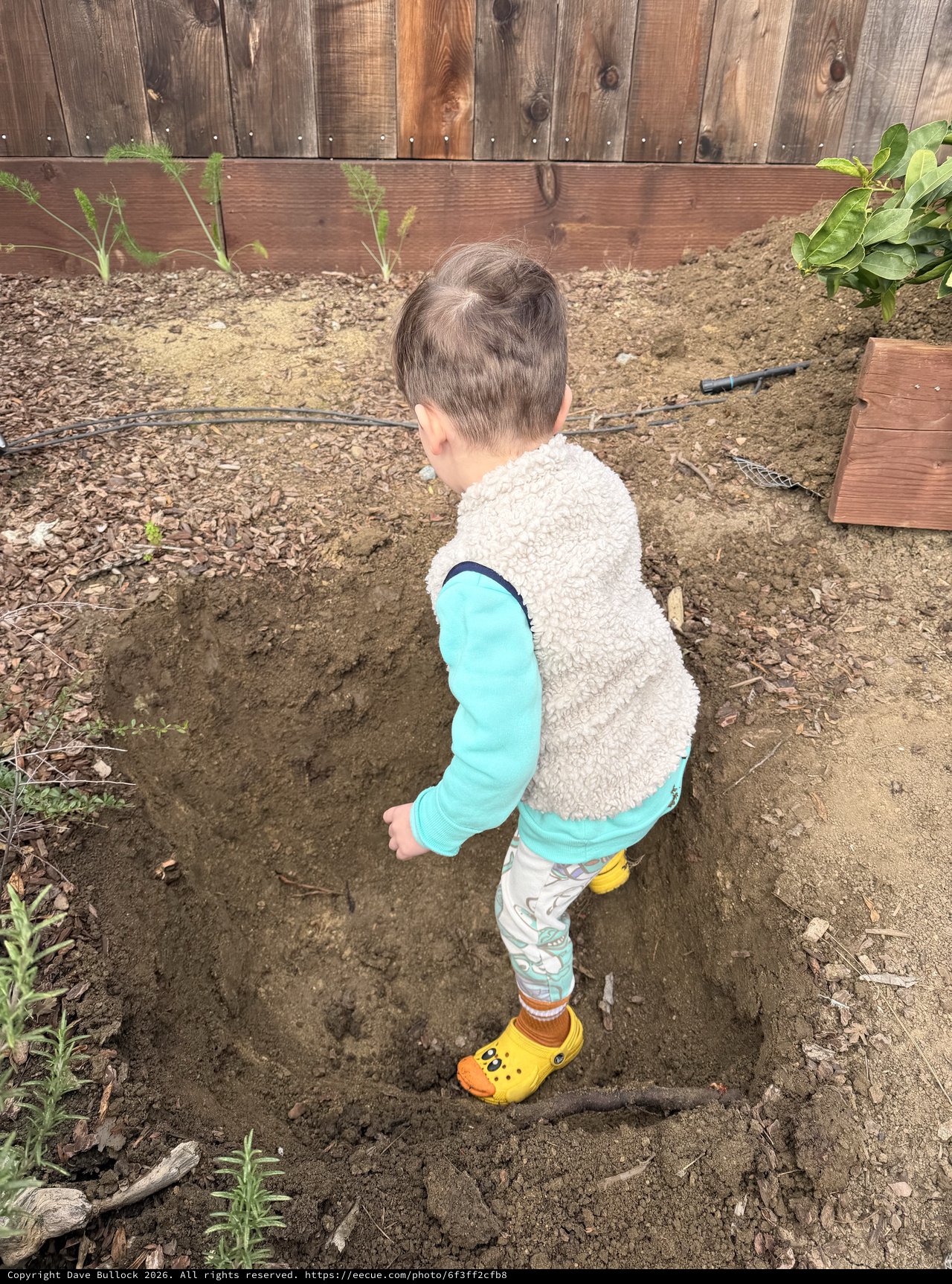 Young Boy Exploring a Freshly Dug Garden Bed
