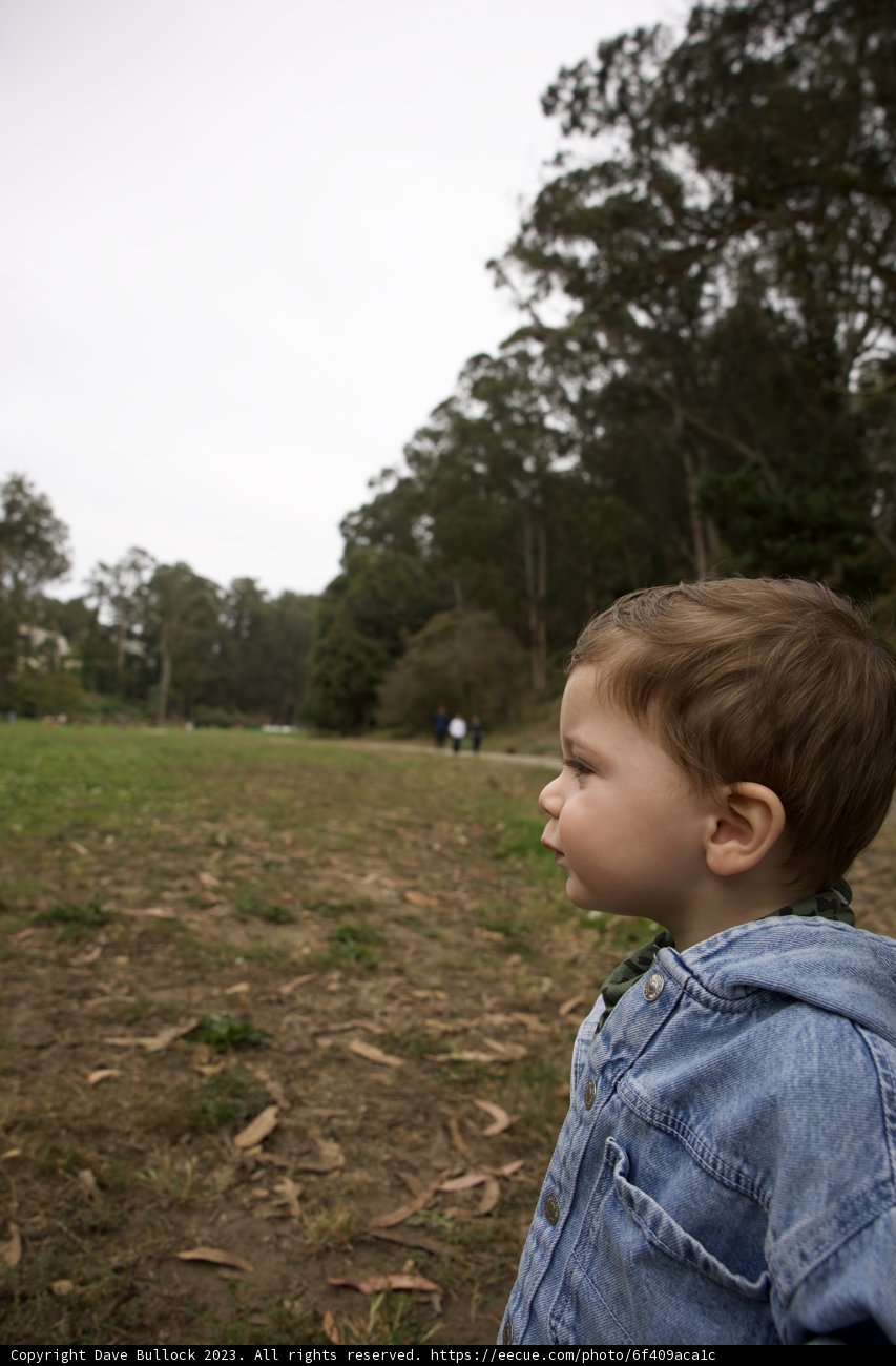 Childhood Wonder at Pine Lake Park
