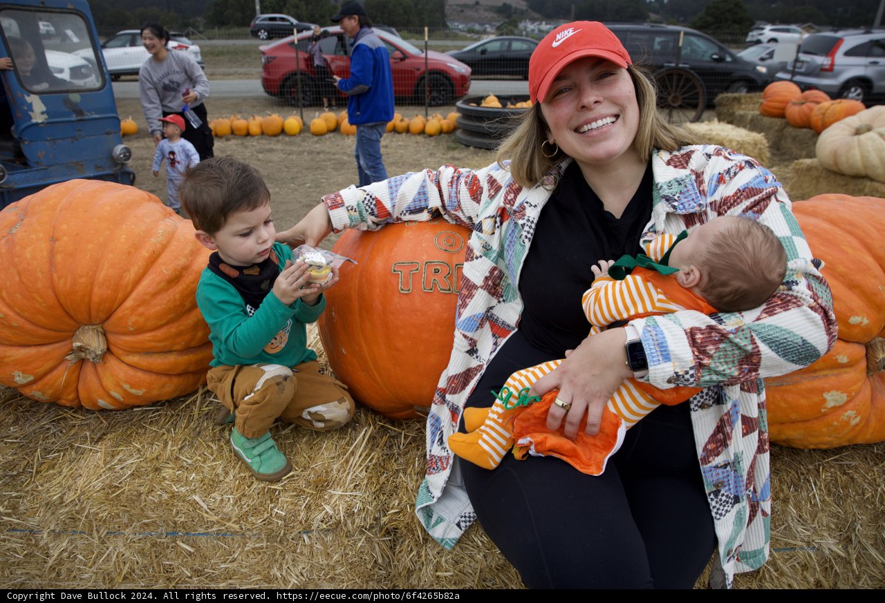 Harvest Moments