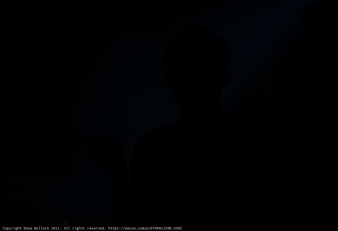 Shadowy Figure at Coachella
