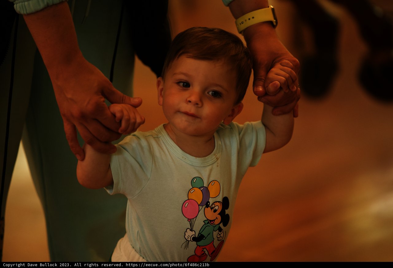 Tiny Hands, Enormous Love