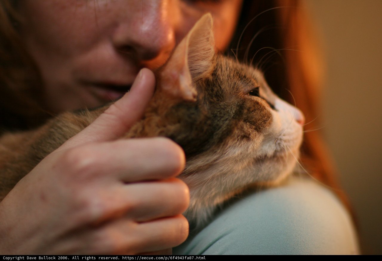 A Woman's Furry Companion