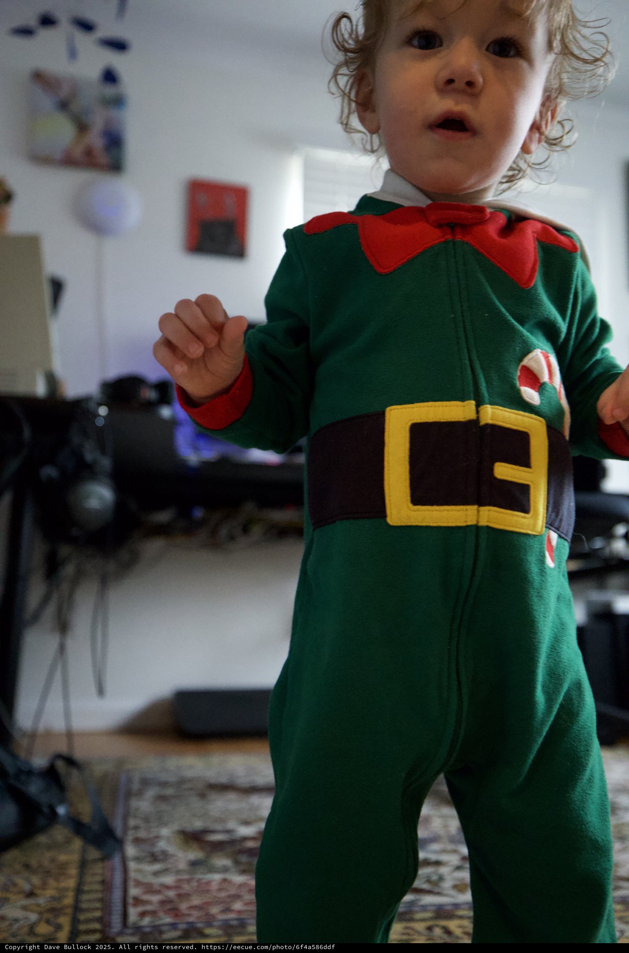 Toddler in Festive Elf Costume at Home
