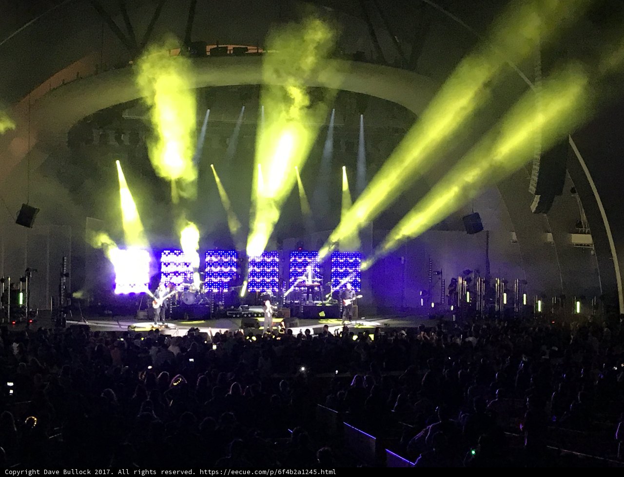Electric Jungle Concert