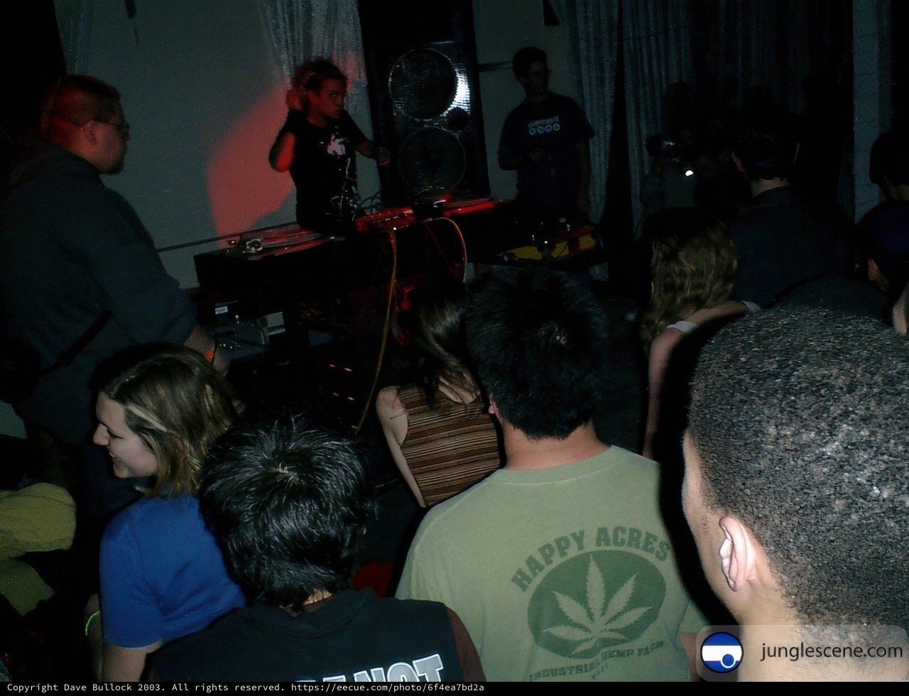 A Night of Music and Fun at the Nightclub