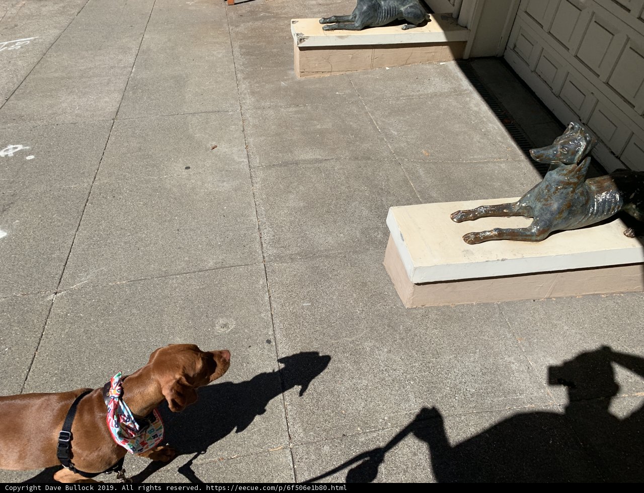 Canine Companion at the City Sculpture