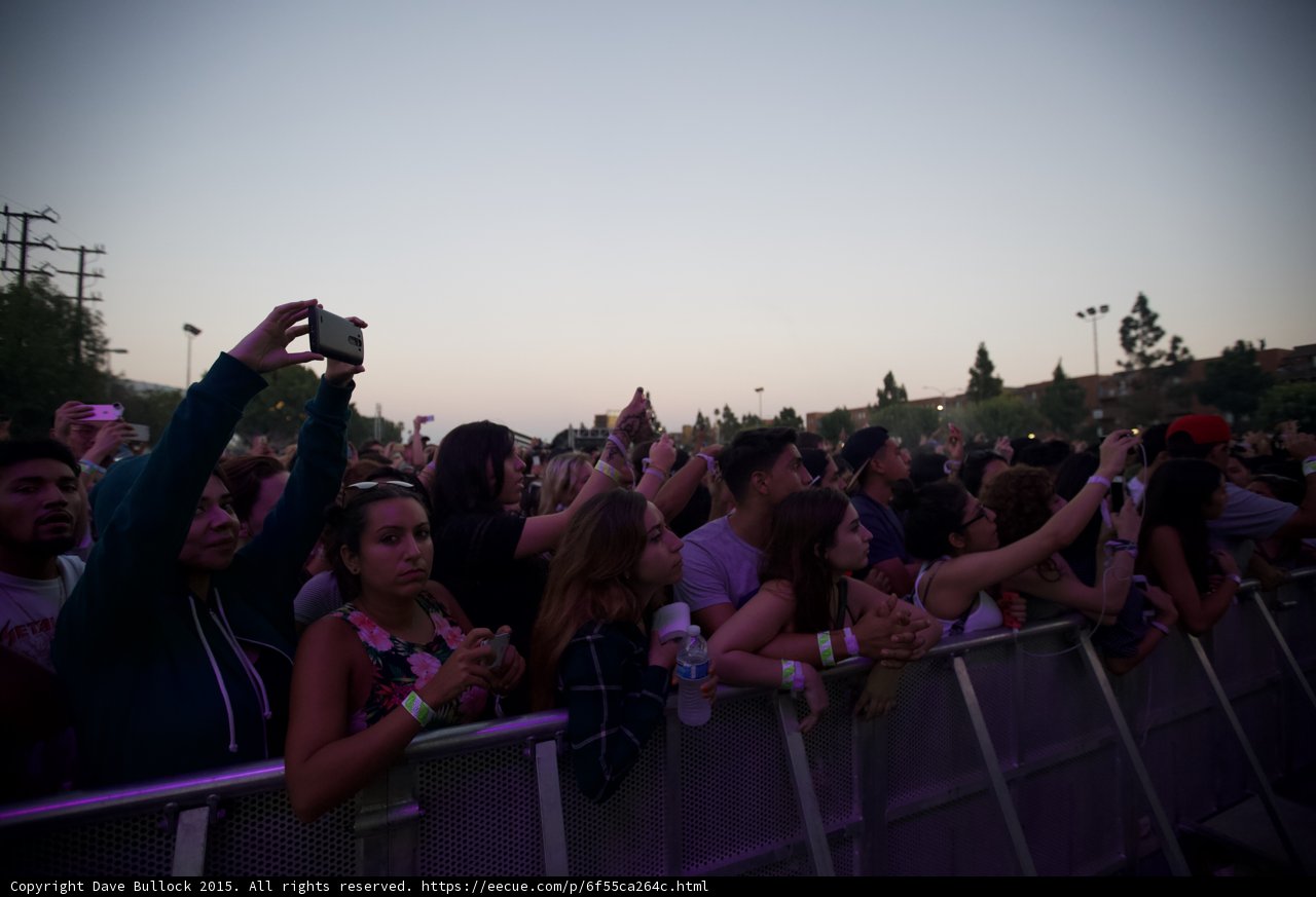 Purple Lit Crowd Shot