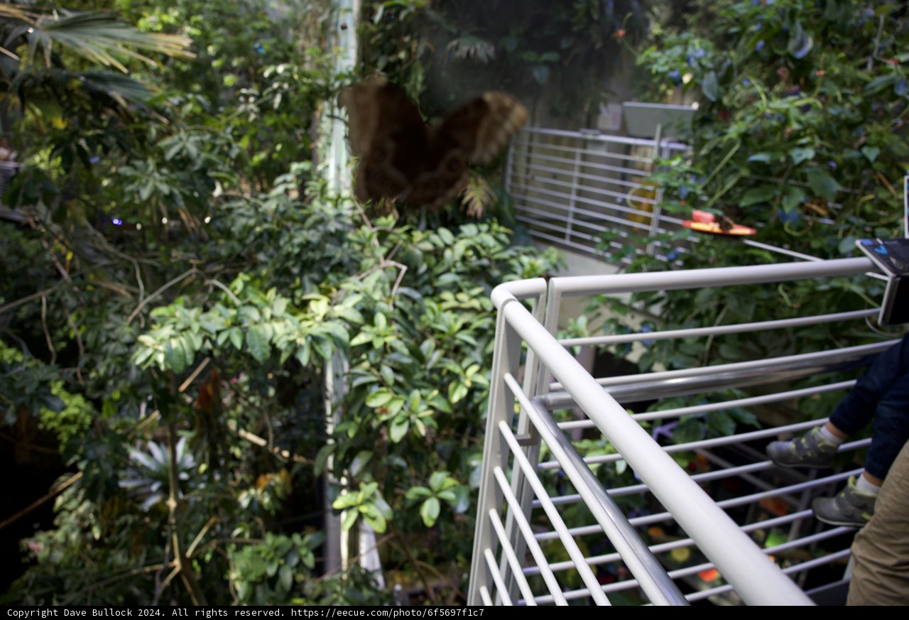Man's Encounter with Nature