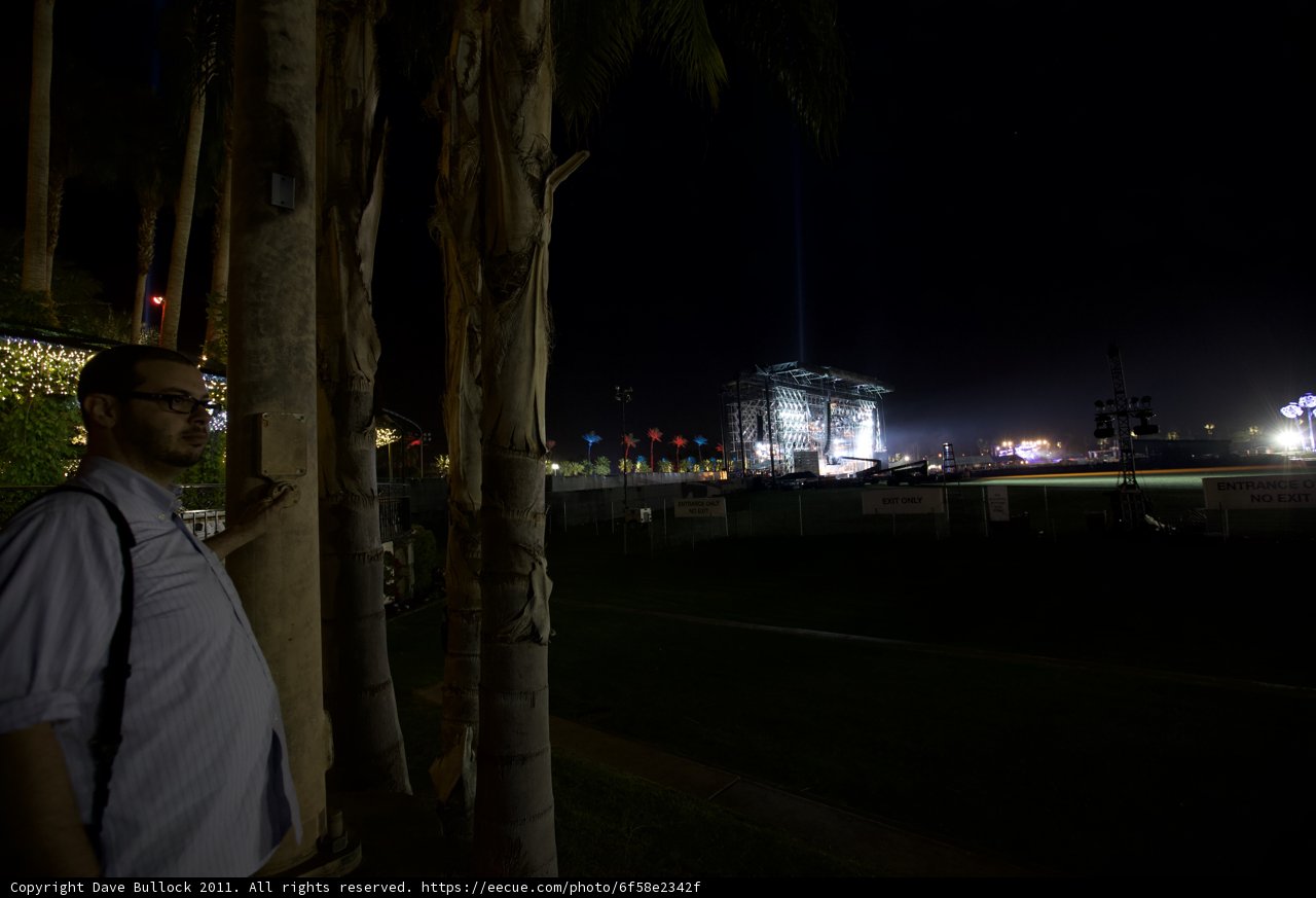 Urban Oasis at Night