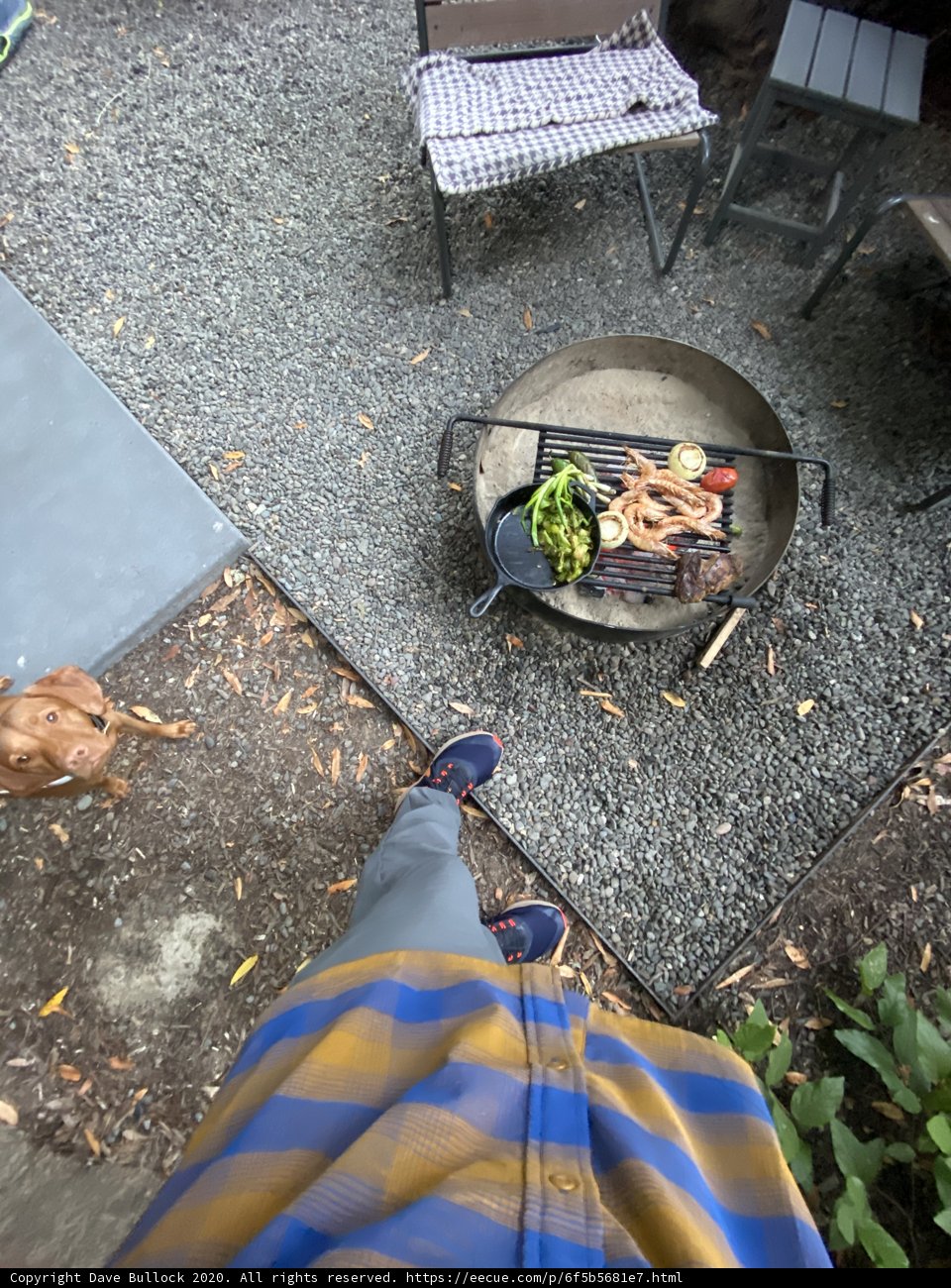Summer BBQ with Fido