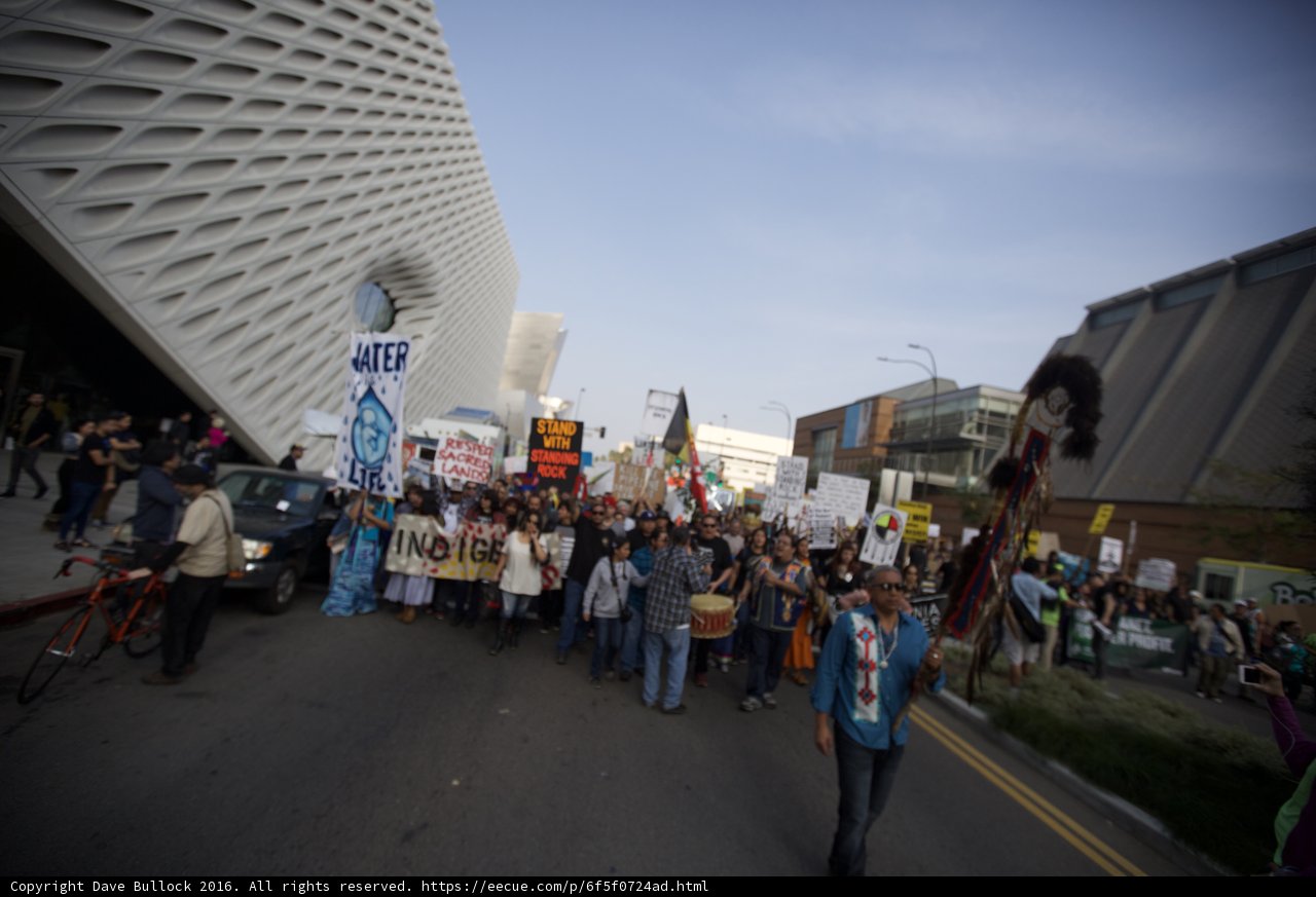Mass Protest in the Streets