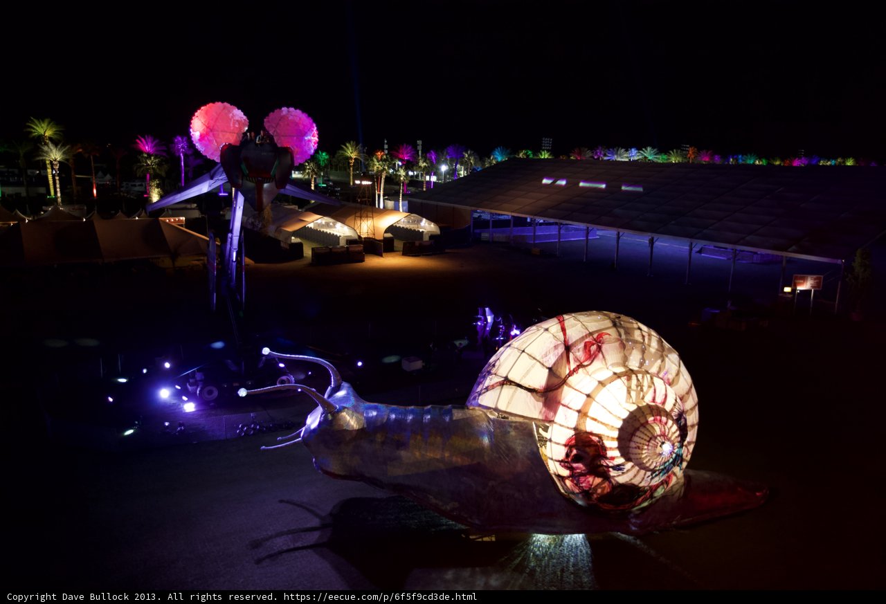 Illuminated Snail in the Night