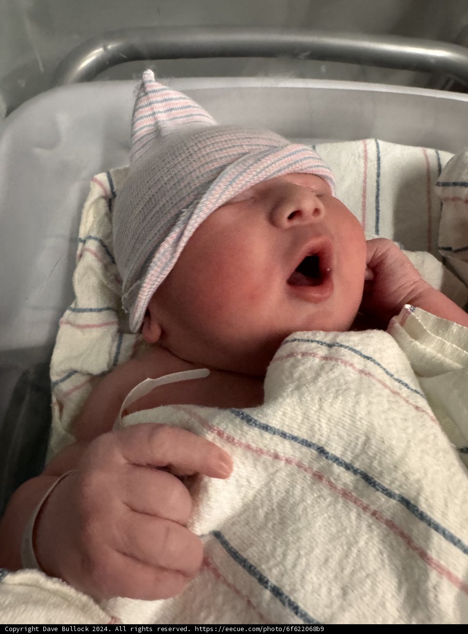 Welcome to the World, Leland