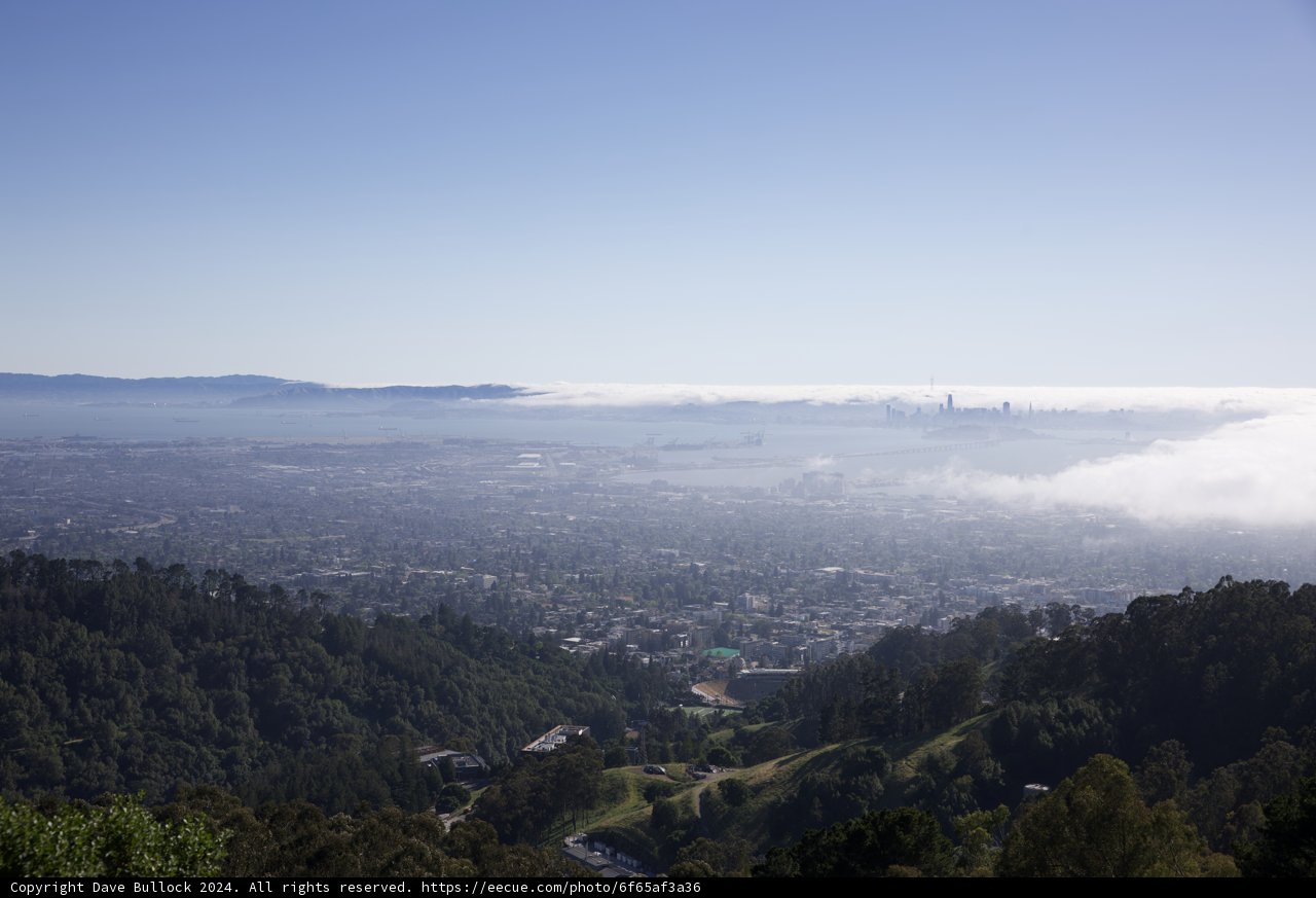 Misty Embrace: Bay View from Tilden Park