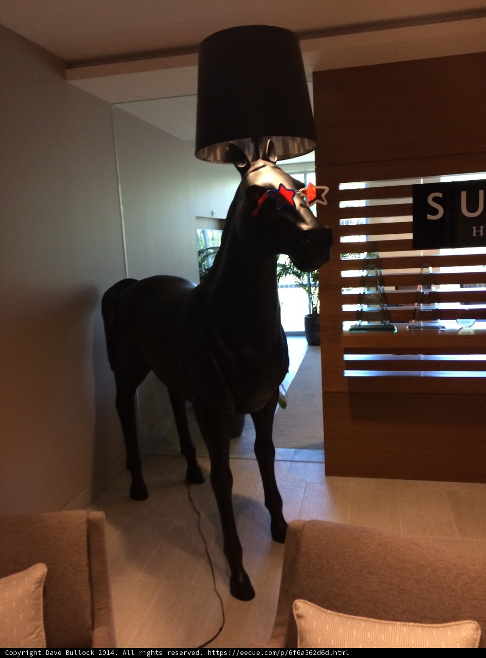 Majestic Black Stallion