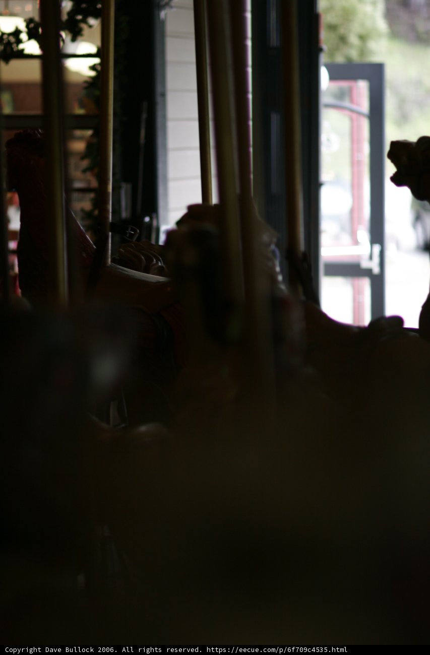 Canine Carousel Cruise