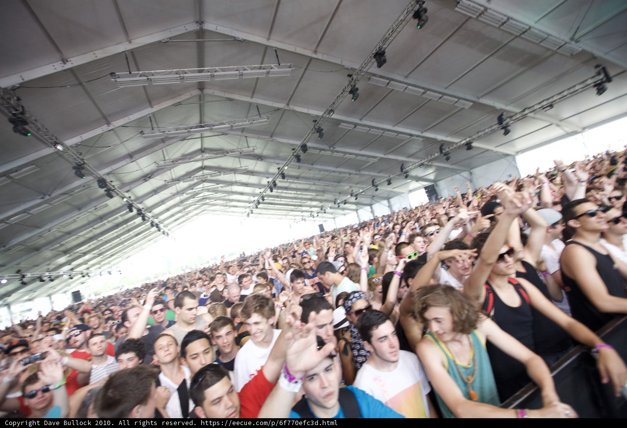 Coachella 2010: A Vibrant Concert Crowd