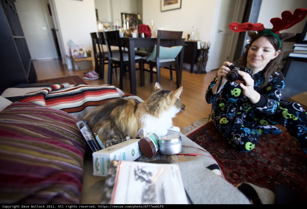 Lengthy List of Loves - Cats, Cameras, and Coziness