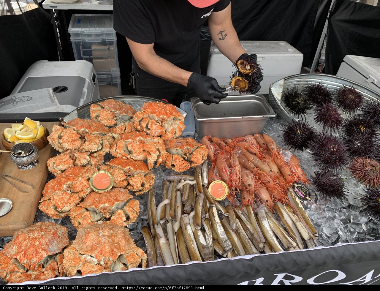 Seafood Feast