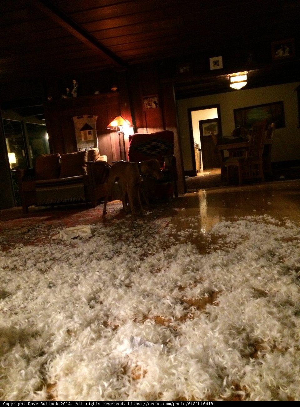 Watery Living Room Chaos