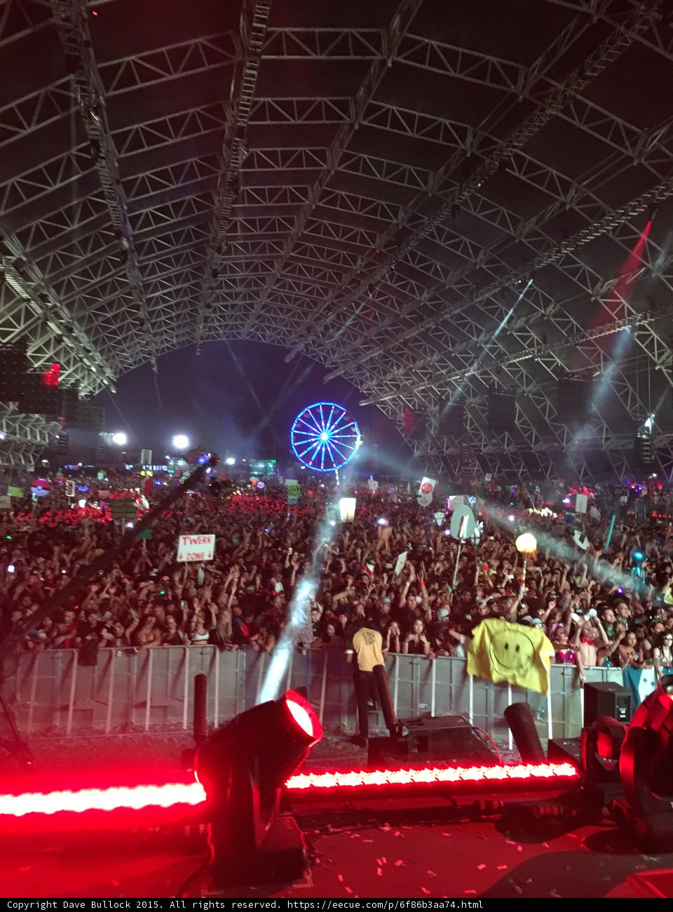 Electric Night at the Concert