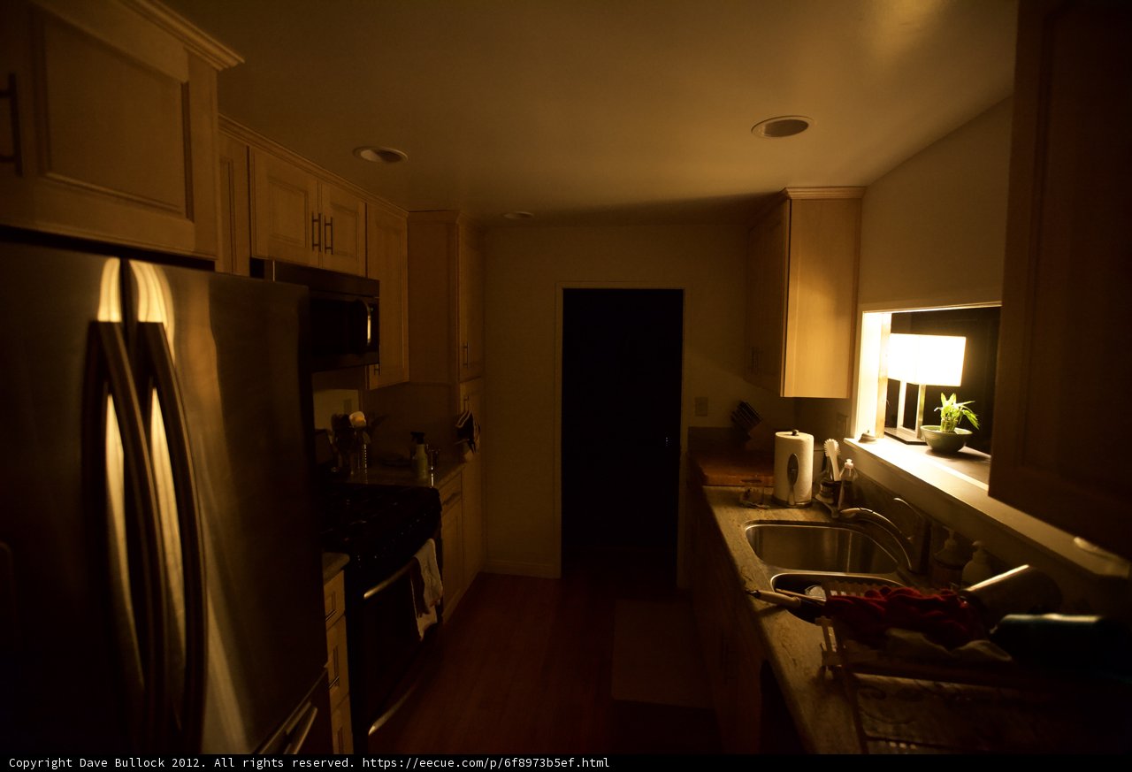 Modern Kitchen with Hardwood Flooring