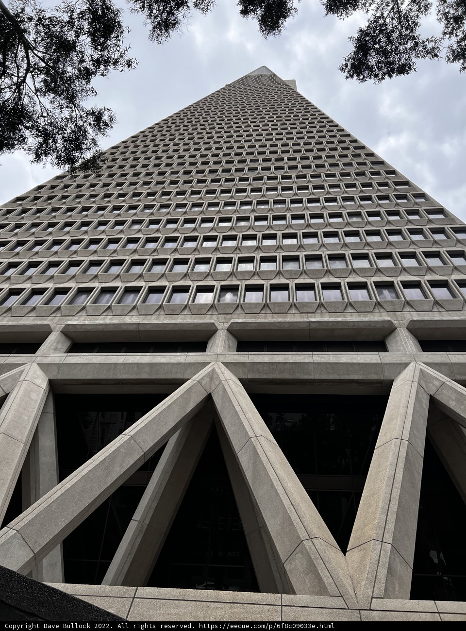 Towering Skyscraper