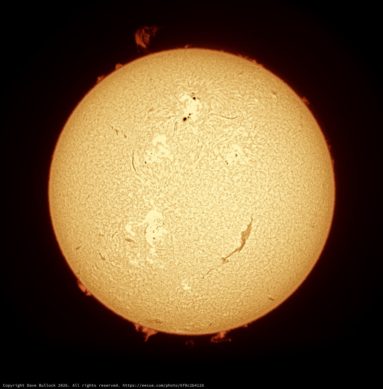 The Sun in Hydrogen-Alpha Light