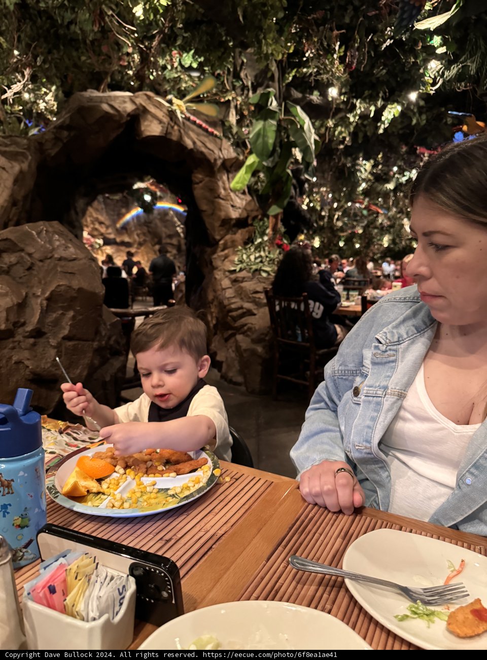 Jungle Dining Adventure
