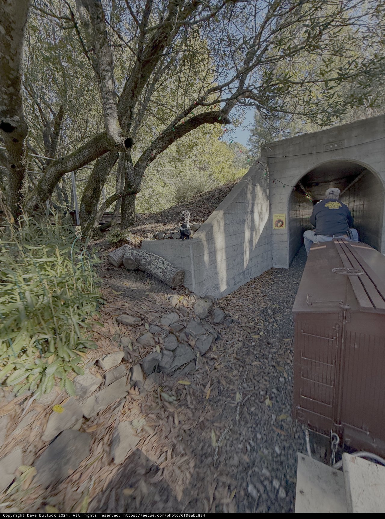Underground Tunnel Train Journey with Passengers