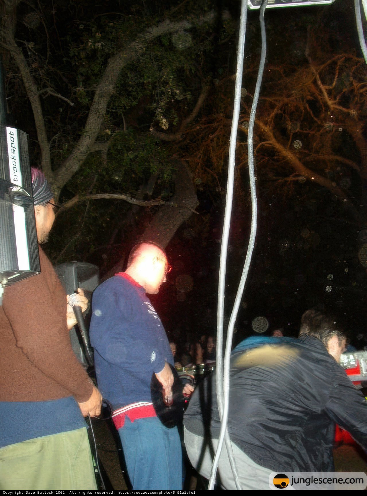 Nighttime Gathering Around a Tree