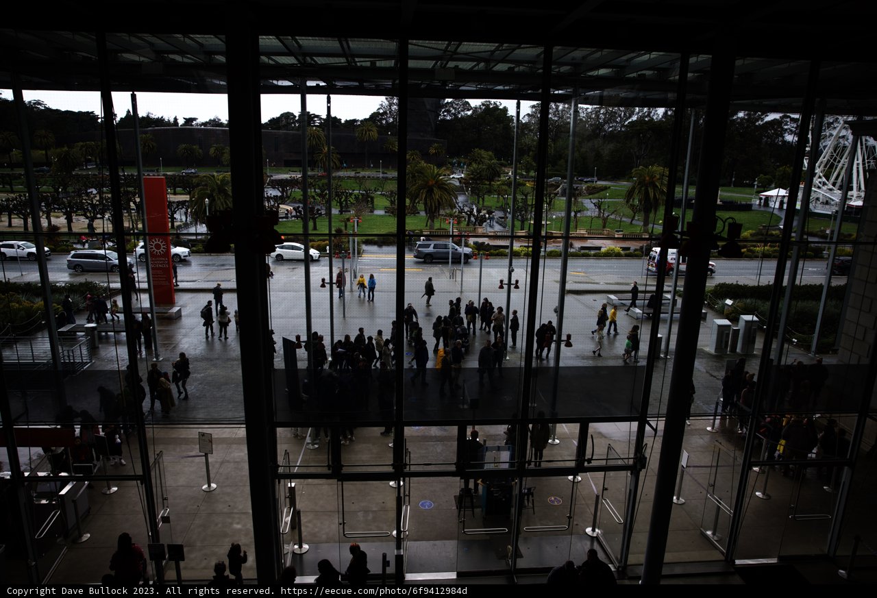 Bustling Terminal at the California Academy of Sciences