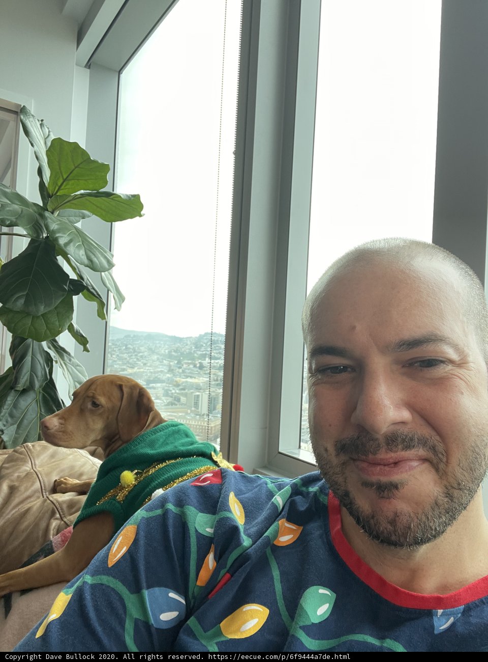 Morning Bliss with My Canine Companion