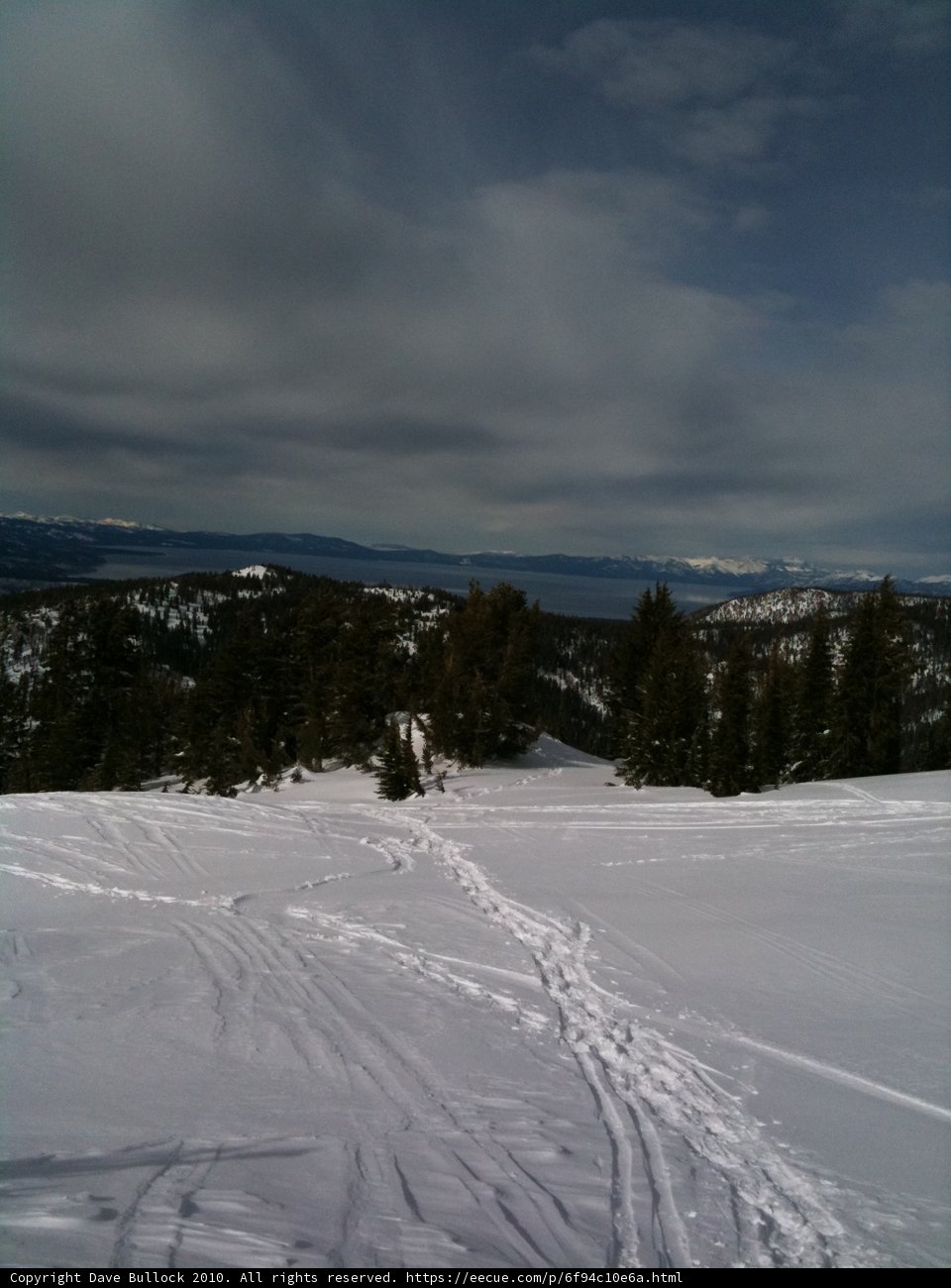 Skiing in the Evergreens