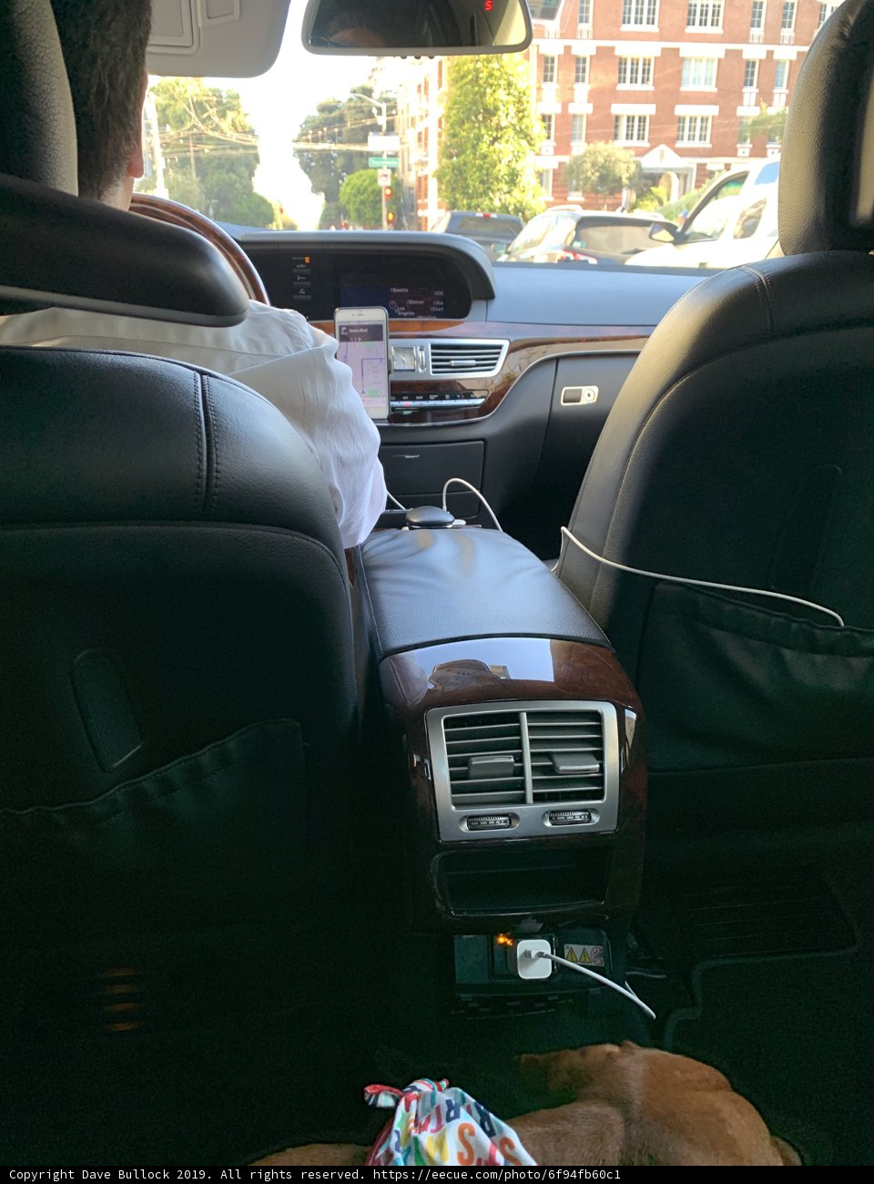 Backseat Relaxed