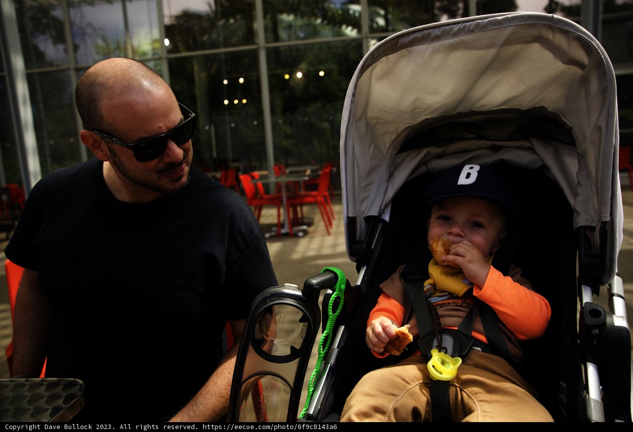 A Sunny Day Out at California Academy of Sciences