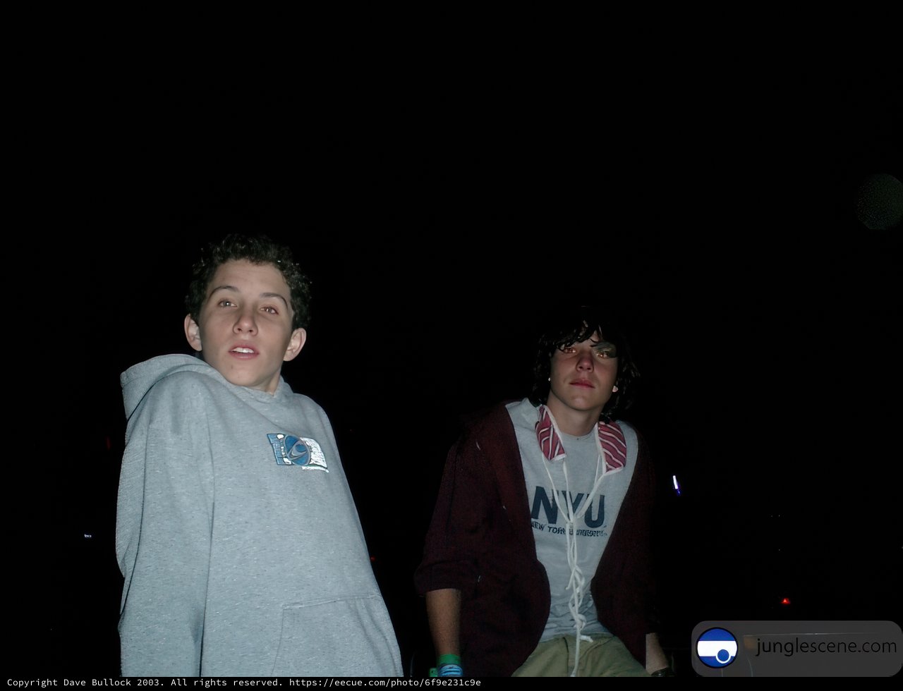 Nighttime Friends