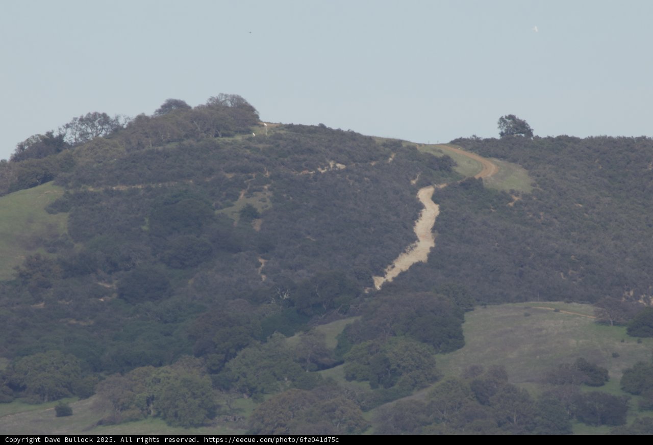 Rolling Hills of Tranquility