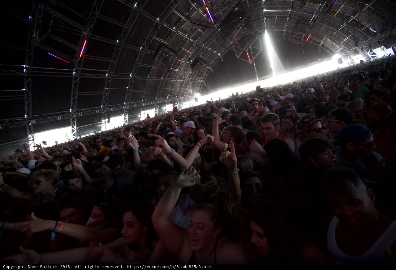 The Electric Crowd at Coachella