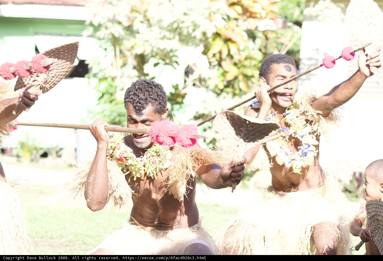 Traditional Hula Dance Performance