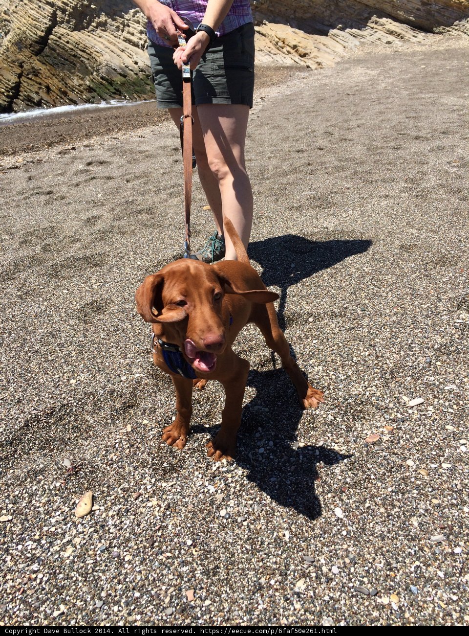 Sunny Stroll on the Beach