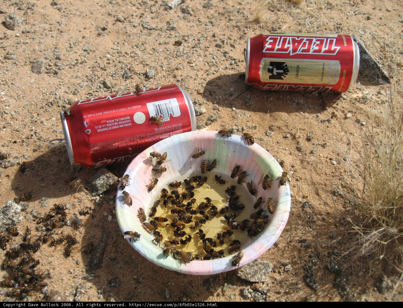 Buzzy beverage break