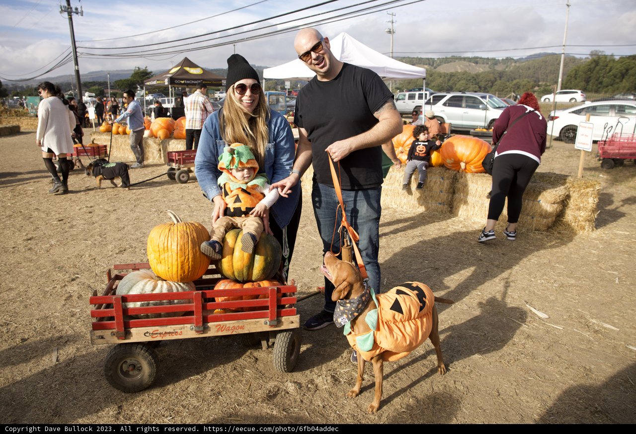 Harvest Day Joy with Lori, Dave, and Furry Friend