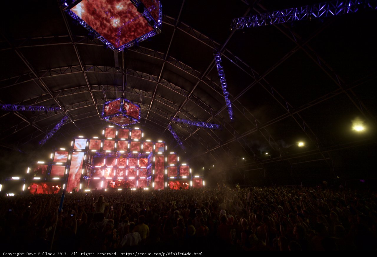 Lights, Crowd, and Performance